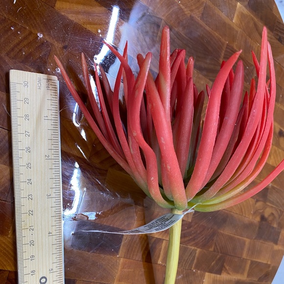 Lot of 4, Faux succulent florals for DIY - Picture 3 of 9